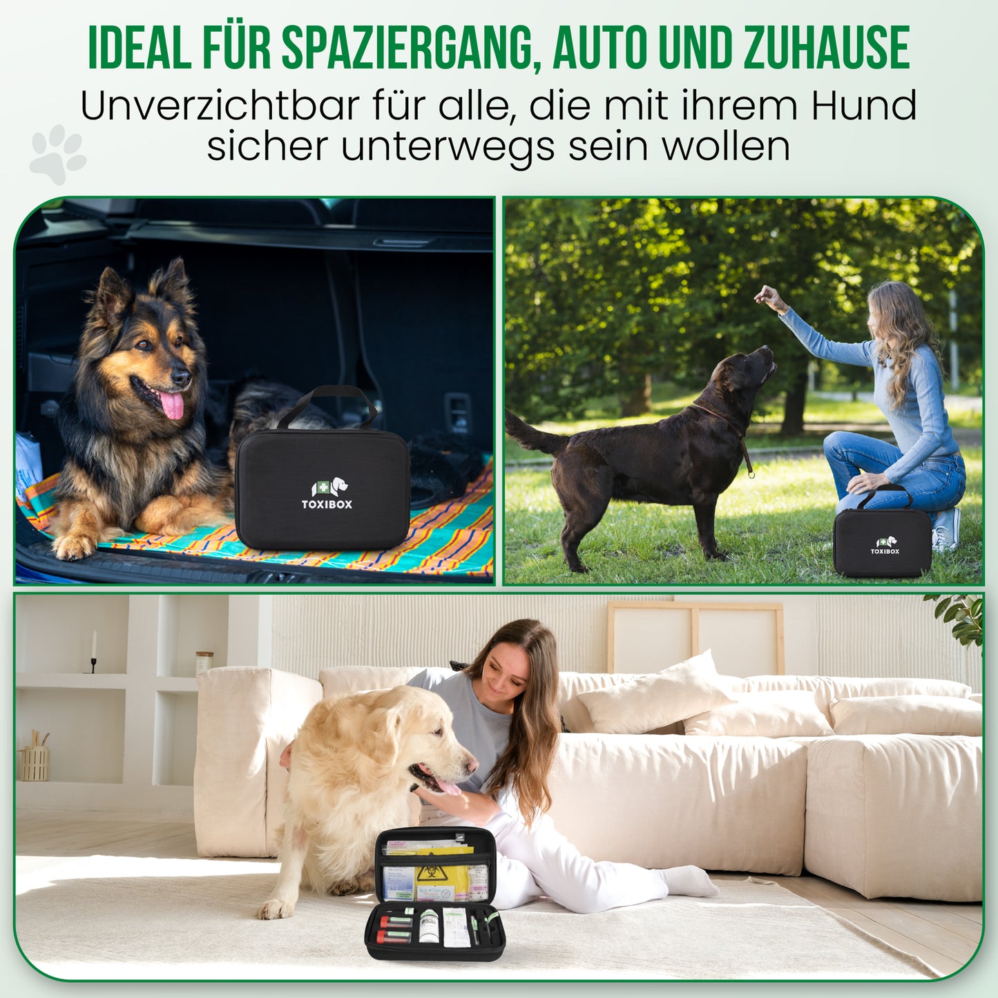 TOXIBOX 3er Set: Erste-Hilfe-Set für Hunde bei Vergiftungen