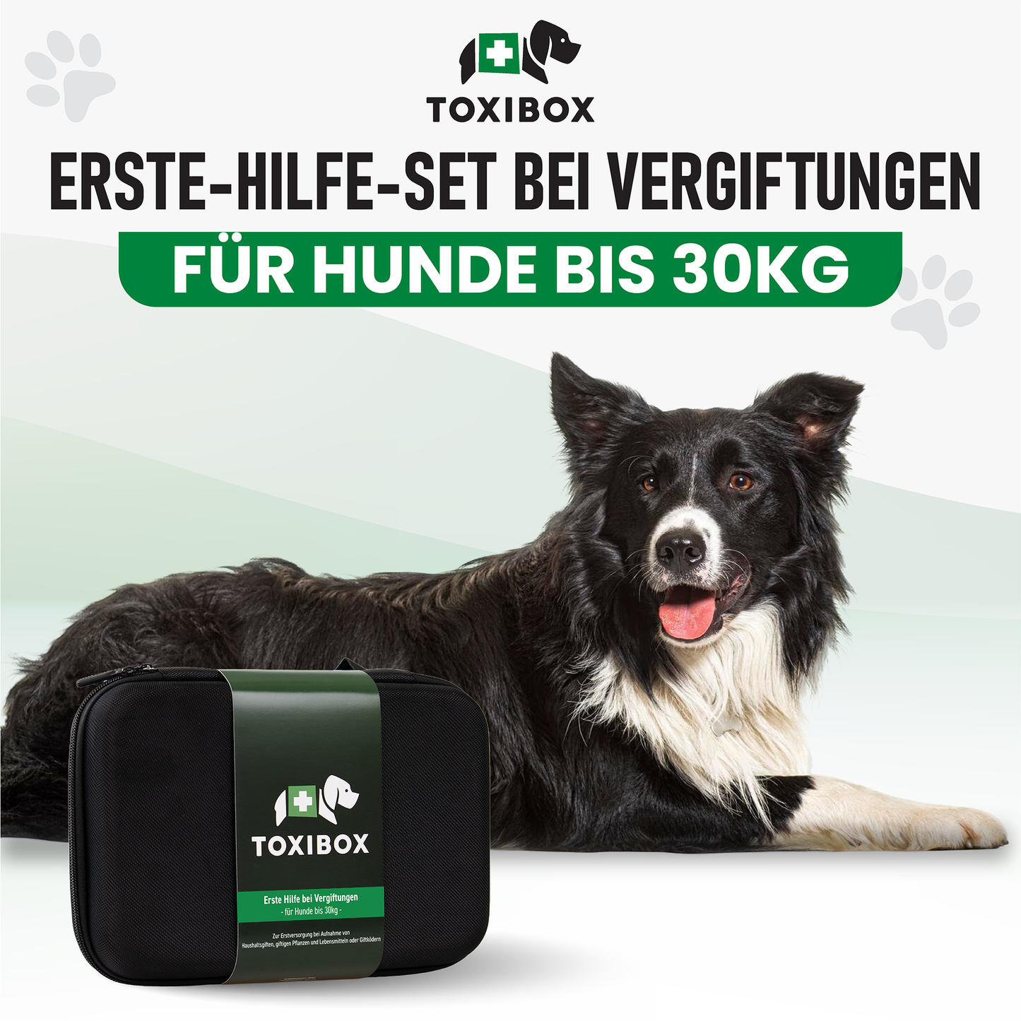 TOXIBOX 3er Set: Erste-Hilfe-Set für Hunde bei Vergiftungen
